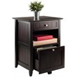 Winsome Burke 2-Drawer Transitional Solid Wood File Cabinet in Coffee