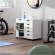 Winsome Halifax 6-Drawer Engineered Wood Mobile Storage Cabinet in Crisp White