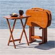 Lucca 5pc Snack Table Set Teak Finish