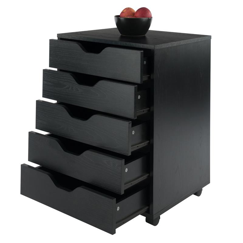 Winsome Halifax for Closet/Office with 5 Drawers in Black