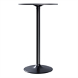Winsome Obsidian Round Contemporary Wood/Metal Pub Table in Black