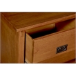 Crafters and Weavers Arts and Crafts 2-Drawer Wood Lateral File Cabinet in Oak
