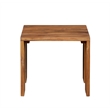 Paradiso Outdoor Teak Wood End Table