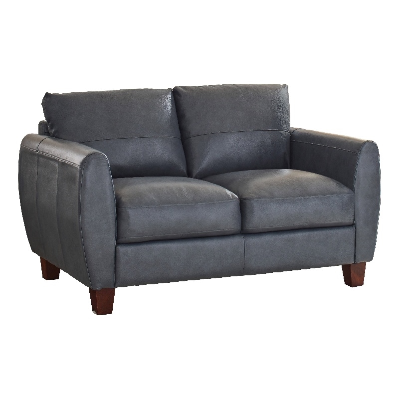 Leather Lusso Bayliss Contemporary Genuine Leather Loveseat in Blue
