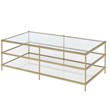 Fox Hill Trading Millenial 3-Layer Glass and Metal Coffee Table in Gold