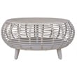 Gallerie Decor Java Transitional Rattan Coffee Table in Whitewashed/Espresso