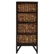 Gallerie Decor Rio 10-Drawer Transitional Metal Cabinet in Walnut