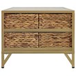 Gallerie Decor Rio Transitional Metal/Wood Coffee Table in Natural