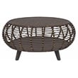 Gallerie Decor Java Transitional Rattan Coffee Table in Espresso