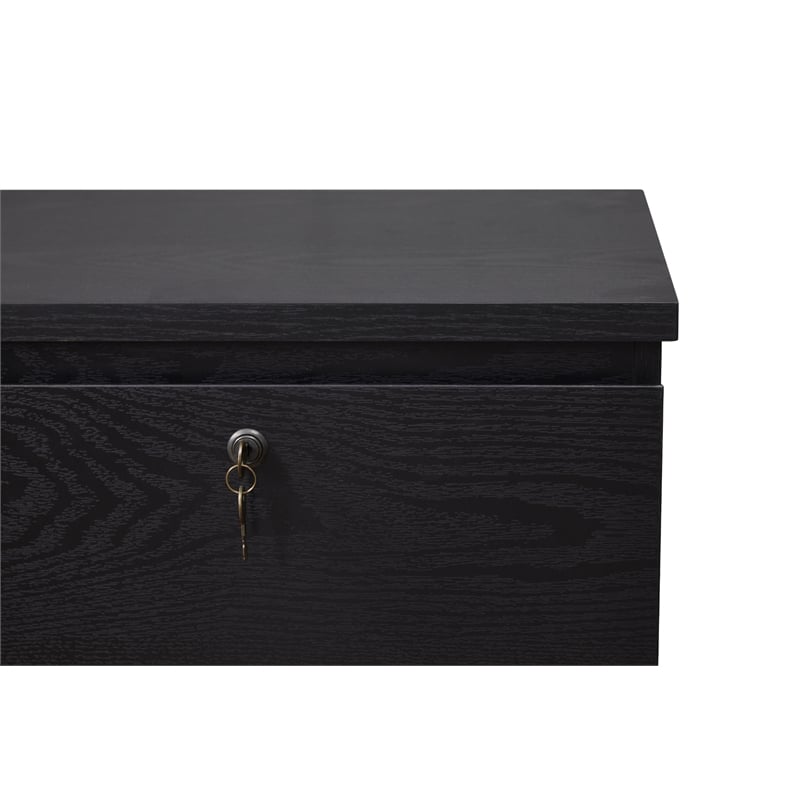 Kowo 2-Drawer Engineered Wood/Metal File Cabinet with Lock in Black