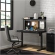Kowo 2-Drawer Engineered Wood/Metal File Cabinet with Lock in Black