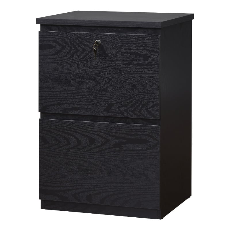 Kowo 2-Drawer Engineered Wood/Metal File Cabinet with Lock in Black