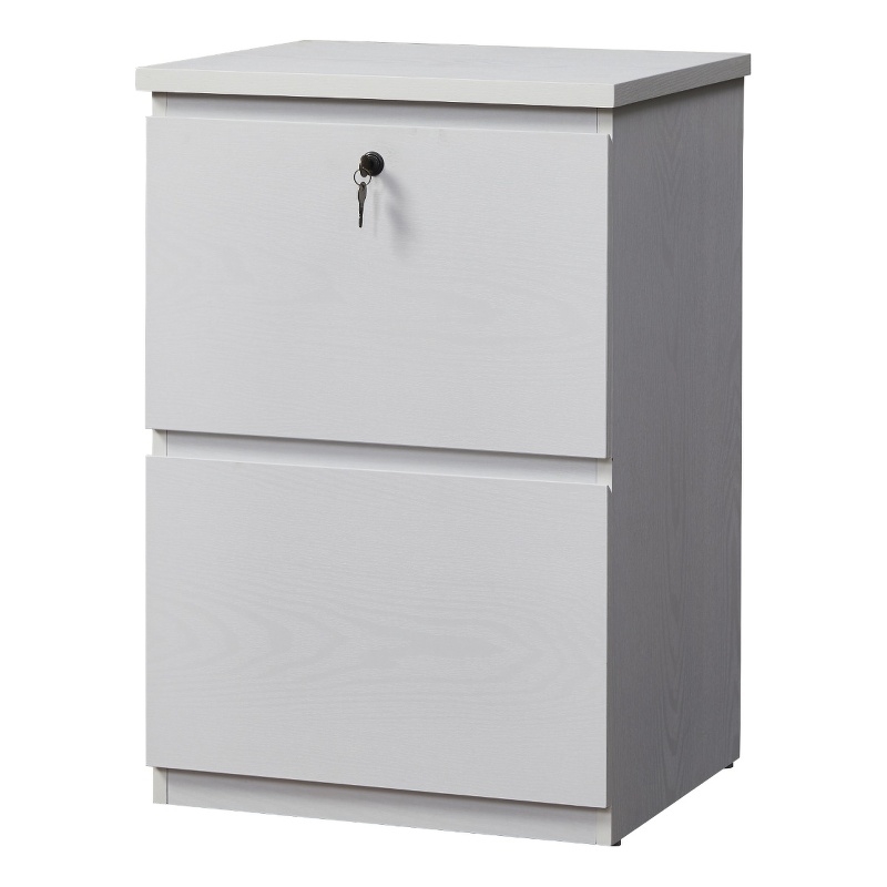 Kowo 2 Drawer Engineered Wood Metal File Cabinet With Lock In White