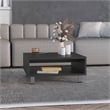 Chiniak Coffee Table 1 shelf 4 legs Black Wengue Engineered Wood