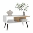 Depot E-Shop Drexel Coffee Table 2 Shelves 4 legs White Natural Oak Wooden