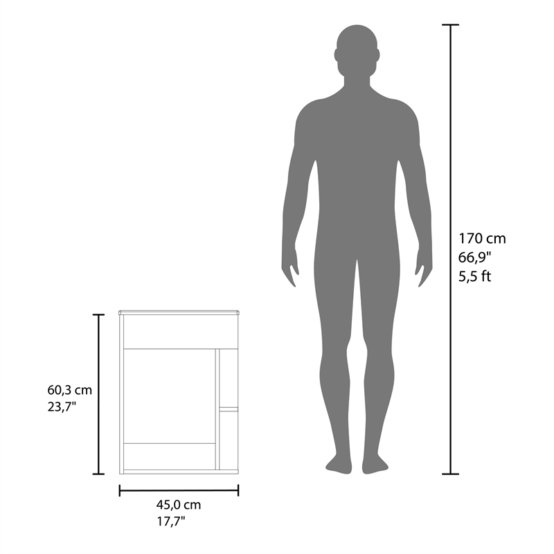 Froid Bathroom Vanity 1 Door 3 shelves Black Wengue Engineered Wood