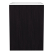 Froid Bathroom Vanity 1 Door 3 shelves Black Wengue Engineered Wood