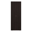 Lisle Armoire 2 Doors 2 Shelves Walnut / Black Wengue Engineered Wood