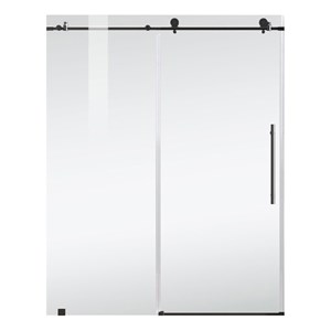 Elegant Kitchen and Bath Raleigh Frameless Stainless Steel Shower Door in Black