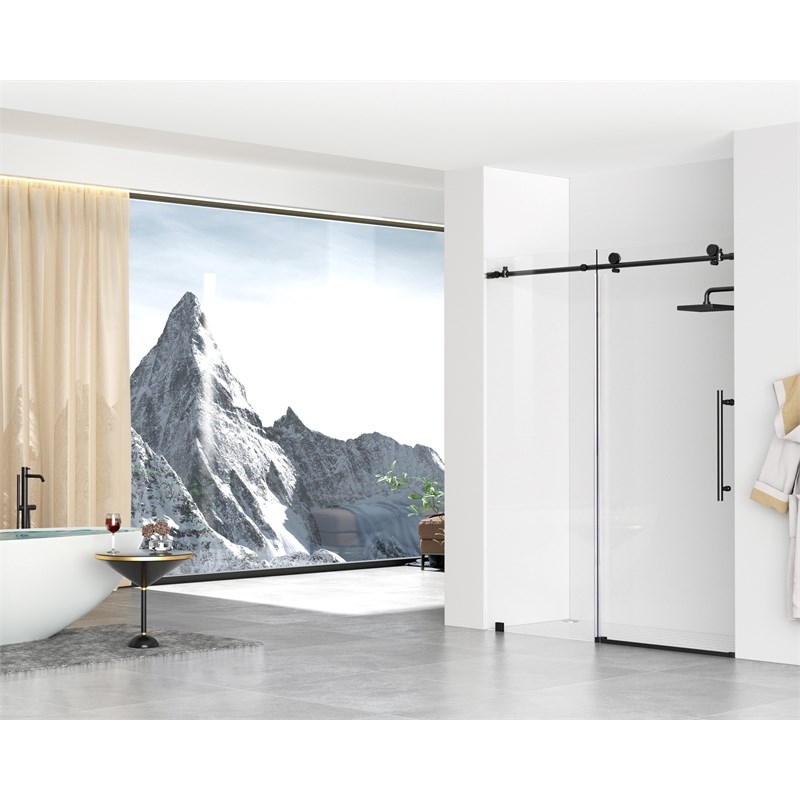 Elegant Kitchen and Bath Raleigh Frameless Stainless Steel Shower Door in Black