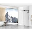 Elegant Kitchen and Bath Raleigh Frameless Stainless Steel Shower Door in Black