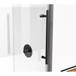 Elegant Kitchen and Bath Raleigh Frameless Stainless Steel Shower Door in Black