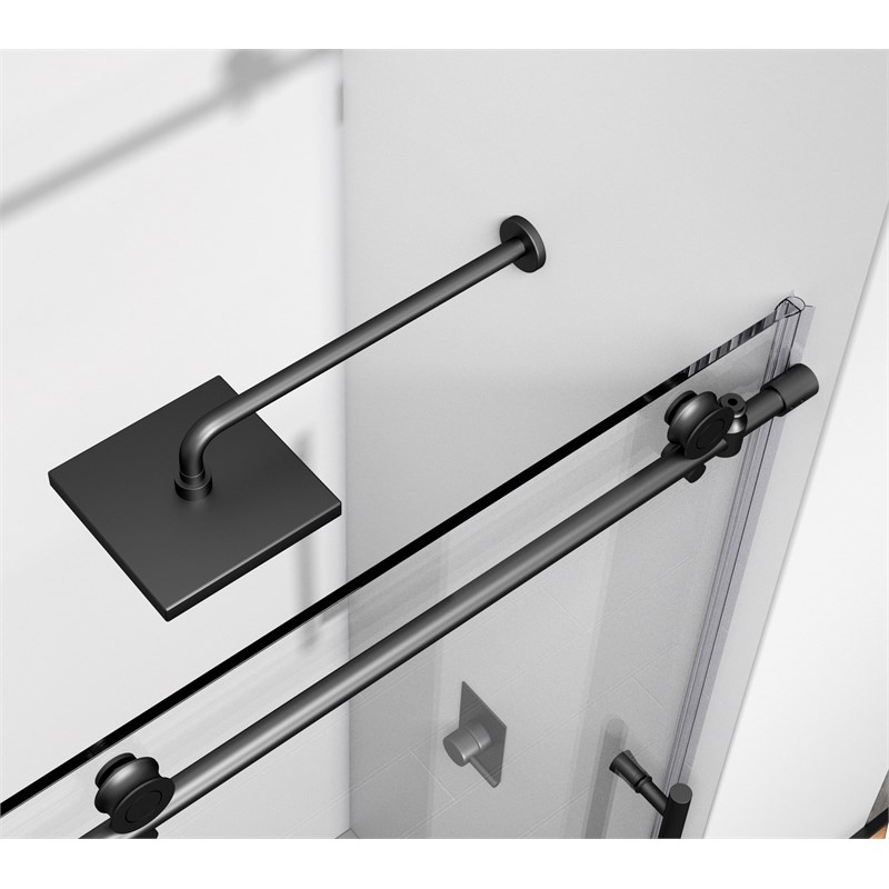 Elegant Kitchen and Bath Raleigh Frameless Stainless Steel Shower Door in Black