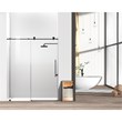 Elegant Kitchen and Bath Raleigh Frameless Stainless Steel Shower Door in Black