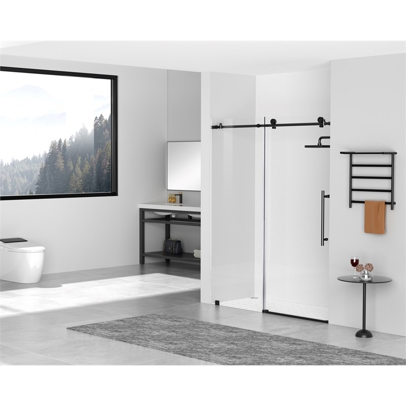 Elegant Kitchen and Bath Raleigh Frameless Stainless Steel Shower Door in Black