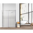 Elegant Kitchen and Bath Raleigh Frameless Stainless Steel Shower Door in Chrome