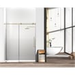 Elegant Kitchen and Bath Raleigh Frameless Stainless Steel Shower Door in Gold