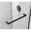 Elegant Kitchen and Bath Hamilton Frameless Aluminum Shower Door in Black