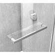 Elegant Kitchen and Bath Hamilton Frameless Aluminum Shower Door in Chrome