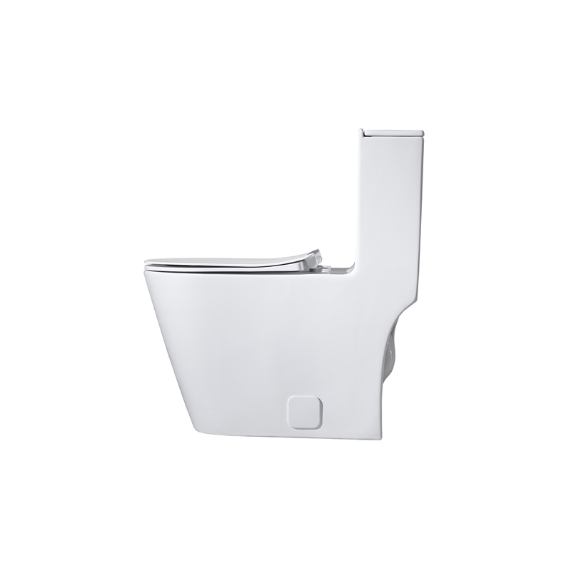 Elegant Kitchen and Bath Winslet Ceramic One-piece Elongated Toilet in White