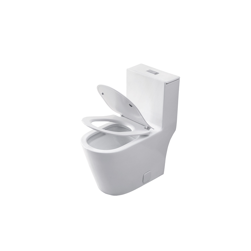 Elegant Kitchen and Bath Winslet Ceramic One-piece Elongated Toilet in White