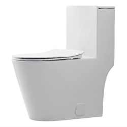 Toilets and Bidets