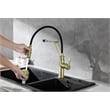 Elegant Kitchen and Bath Leonardo Brass Kitchen Faucet in Brushed Gold