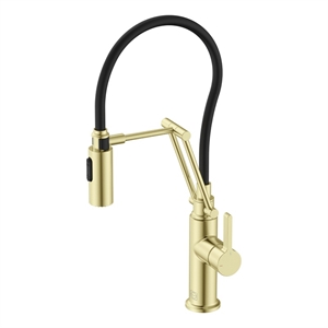 Elegant Kitchen and Bath Leonardo Brass Kitchen Faucet in Brushed Gold