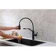Elegant Kitchen and Bath Leonardo Brass Kitchen Faucet in Matte Black