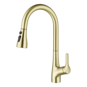 Elegant Kitchen and Bath Andrea Brass Kitchen Faucet in Brushed Gold