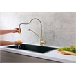 Elegant Kitchen and Bath Yara Brass Kitchen Faucet in Brushed Gold