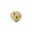 Elegant Kitchen and Bath George Brass Shower and Tub Faucet in Brushed Gold