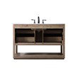 Elegant Kitchen and Bath Larkin 48