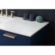 Elegant Kitchen and Bath Larkin 54