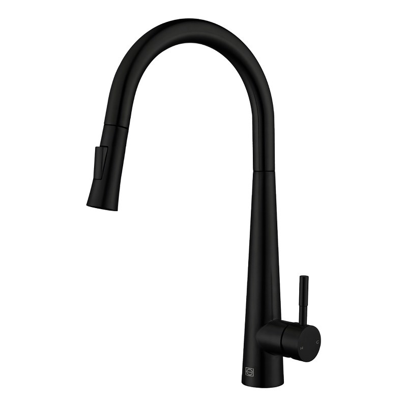 Elegant Kitchen and Bath Lucas Stainless Steel Kitchen Faucet in Matte Black