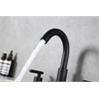 Elegant Kitchen and Bath Leah Brass Double Handle Bathroom Faucet in Matte Black