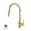 Elegant Kitchen and Bath Luca Stainless Steel Kitchen Faucet in Brushed Gold