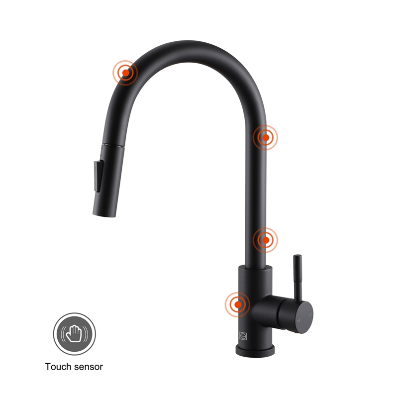Elegant Kitchen and Bath Luca Stainless Steel Kitchen Faucet in Matte Black