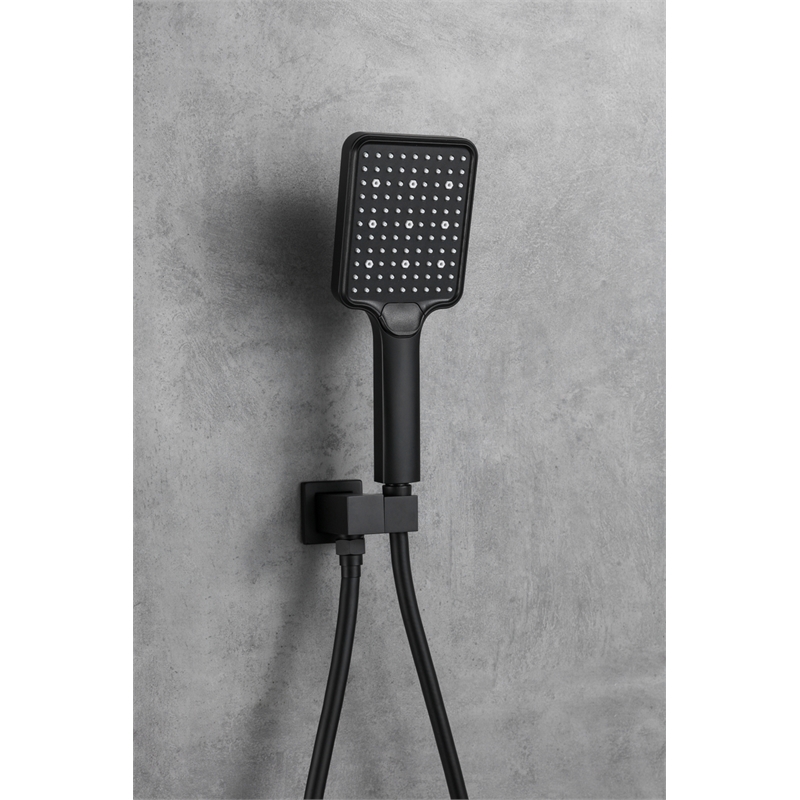 Elegant Kitchen and Bath Petar Brass Shower Faucet System in Black