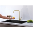 Elegant Kitchen and Bath Levi Stainless Steel Kitchen Faucet in Brushed Gold